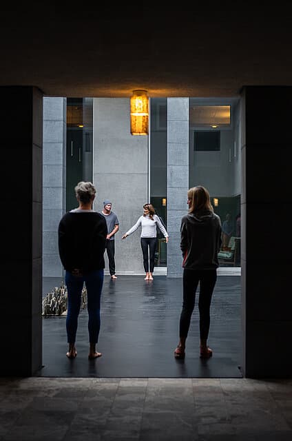 Mind Body Medicine Maistra