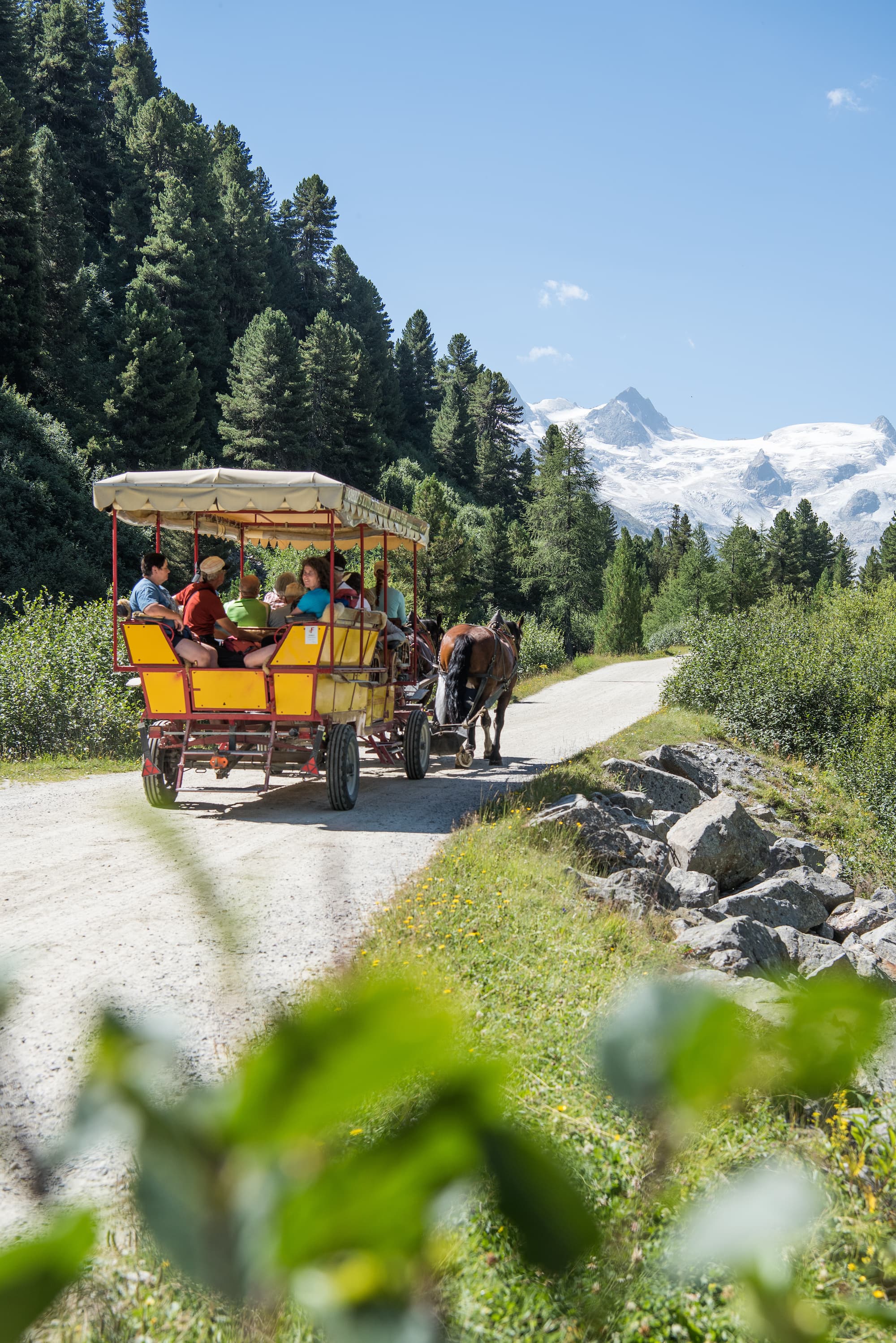 Kutschenfahrten Pontresina