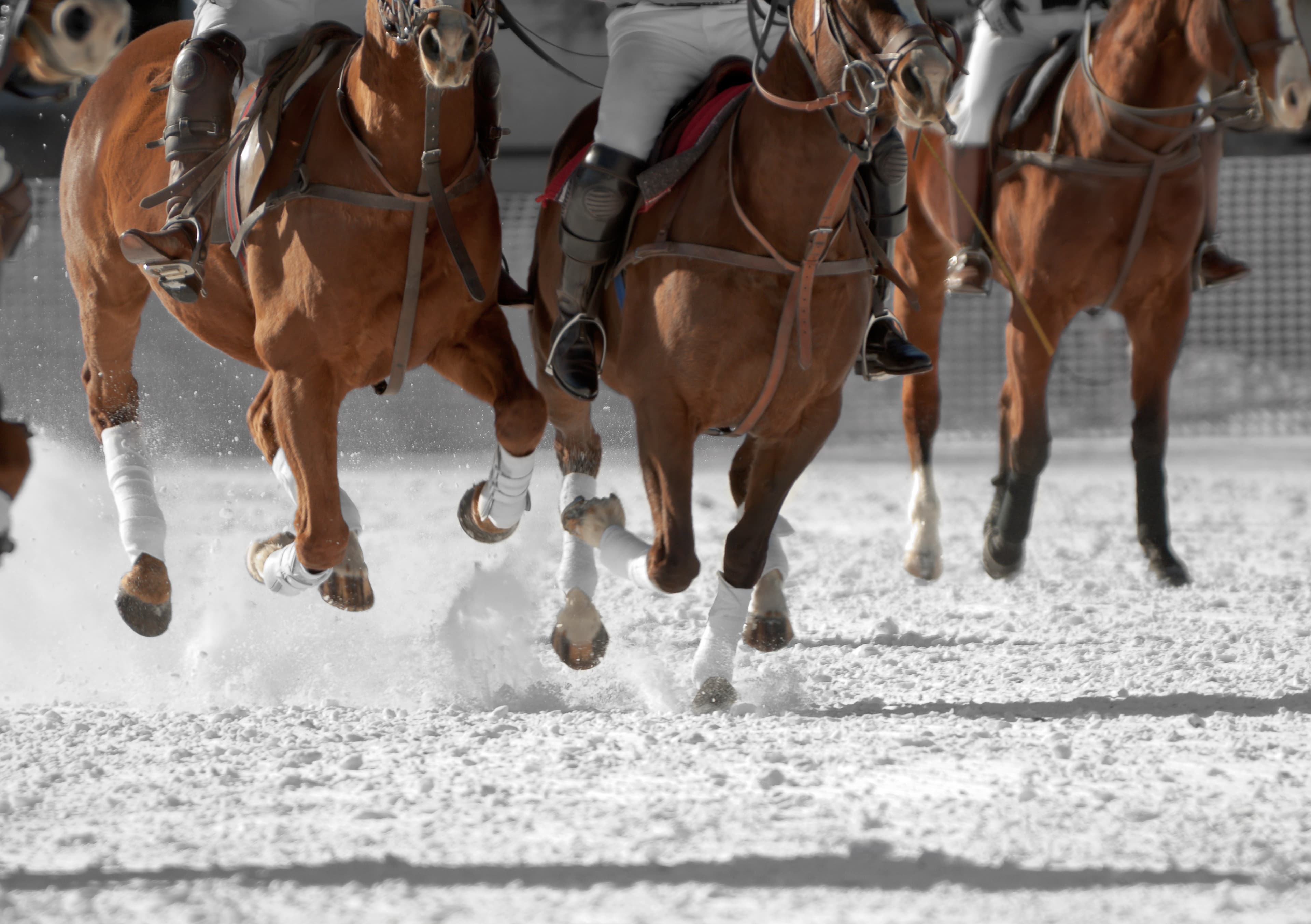 Snow Polo St. Moritz